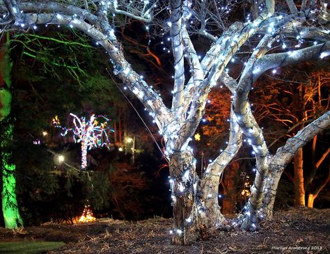 Solar christmas decorations