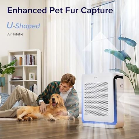 Air Quality Monitor, Hepa Air Purifier, Pet Odors, Smart Wifi, Hepa Filter, Home Gadgets, Air Quality, Clean Air, Air Purifier