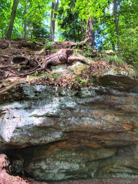 Exploring The Ledges in Grand Ledge Michigan Michigan Travel Destinations, Travel Michigan, Sledding Hill, Upper Peninsula Michigan, Disc Golf Courses, East Lansing, The Ledge, Belle Isle, Sedimentary Rocks