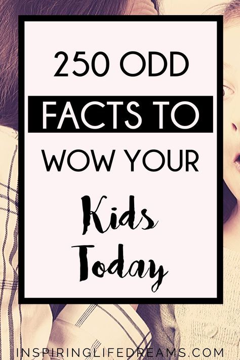 Facts About Me Questions, Random Facts Mind Blowing, Weird Fun Facts, Interesting Facts For Kids, Mind Blowing Thoughts, Kids Questions, Fun Facts For Kids, Facts Funny, Funny Random