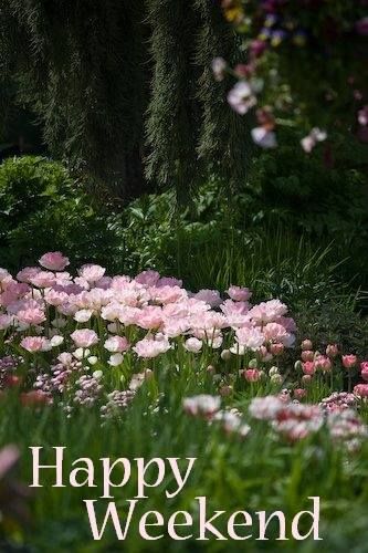 Happy Weekend! ❤️ Pink Garden, Garden Photos, Garden Cottage, Country Gardening, The Grass, Nature Aesthetic, Shade Garden, Dream Garden, Cottage Garden