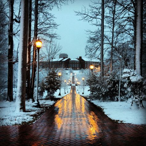 Charlotte, NC I'm not a fan of snow but omg this is stunning. UNCC in the winter Uncc 49ers Unc Charlotte, Unc Charlotte Aesthetic, University Of North Carolina Aesthetic, Unc Charlotte, North Carolina Winter, University Of North Carolina Charlotte, University Of North Carolina School Of The Arts, Moving To North Carolina, Charlotte North Carolina