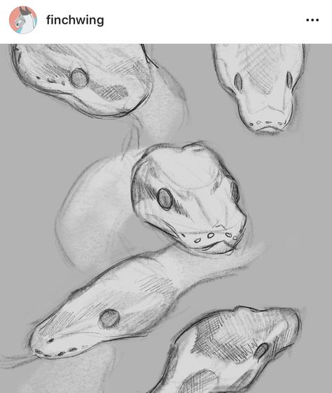 Pose Ideas Drawing, Snake Sketch, Snake Drawing, Animal Drawings Sketches, Snake Art, Creature Artwork, Animal References, Arte Sketchbook, Animal Sketches