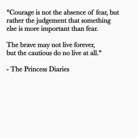 Princess Diaries Quotes, Honeymoon Avenue, The Princess Diaries, Senior Quotes, Diary Quotes, Princess Diaries, Small Canvas Art, Small Canvas, Quotable Quotes