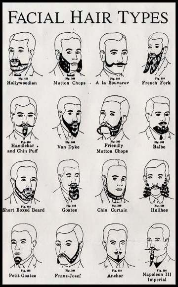 Types Of Facial Hair, Anatomy Head, Facial Hair Styles, Barber Tattoo, Fab 5, Hair References, Draw The Squad, Drawing Heads, Drawing Hair