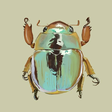 Beetle Drawing Reference, Beetle Art Illustration, Cool Beetles, Pretty Beetles, Beetles Aesthetic, Cute Bug Drawing, Bug Pfp, Beetle Aesthetic, Bug Aesthetic