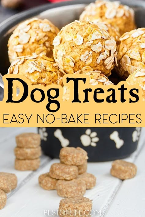 Easy Dog Treats 2 Ingredients No Bake, Dog Treats With Coconut Oil, Dog Treats Without Peanut Butter, Soft Dog Treats Homemade, Homemade Soft Dog Treats, 2 Ingredient Dog Treats, Bake Dog Treats, Puppy Snacks, Natural Dog Treats Recipes