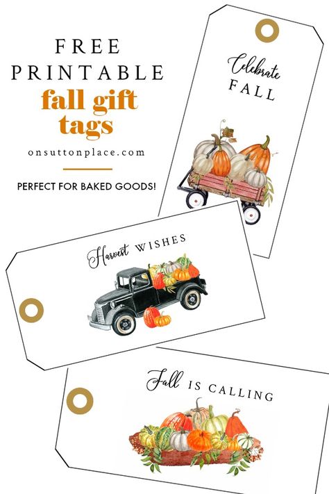 Make your fall gift-giving very special with this custom, free printable fall gift tag collection. A set of three gift tags to download and print at home! Fall Gift Tags, Fall Gift Baskets, Free Fall Printables, Autumn Wall Art, Free Printable Gift Tags, Sutton Place, Free Printable Art, Free Gift Tags, Fall Printables