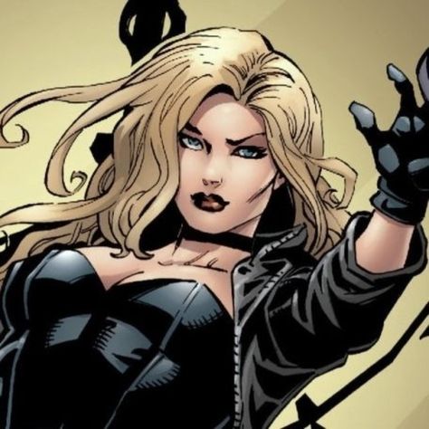 Meet your Posher, Kenzie Dc Women Art, Dc Comic Icons Women, Black Canary Dc Comics, Black Canary Cartoon, Dinah Lance Icons, Dc Comics Black Canary, Black Canary Comic Icons, Dc Women Comic, Black Dc Characters