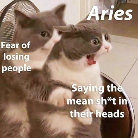 Aries Funny Memes, Aries X Aries, Aries Memes Funny, Aries Jokes, Aries Things, Aries Funny, Aries Capricorn, About Aries, Astrology Signs Aries