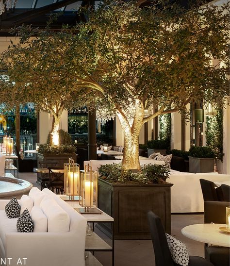 Garden Patio Restaurant, Landscape For Restaurant, Luxury Outdoor Restaurant, Wedding Restaurant Design, Classic Patio Design, Outdoor Event Space Design, Restaurant Patio Design, Outdoor Living Room Ideas, Outdoor Restaurant Patio