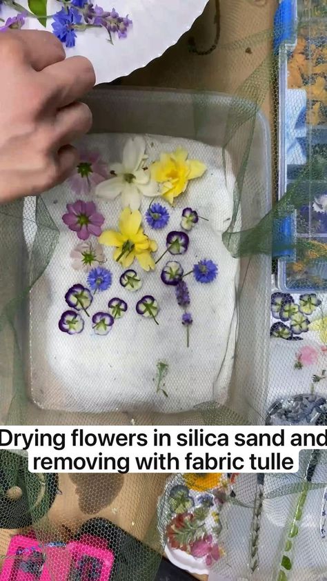 Drying flowers in silica sand and removing with fabric tulle | Pinterest Crafts Dried Flowers, Pressed Flowers Diy, Drying Flowers, Dried Flowers Diy, Pressed Flower Crafts, Crafts Easter, Resin Jewelry Diy, Dried And Pressed Flowers, Pressed Flower Art