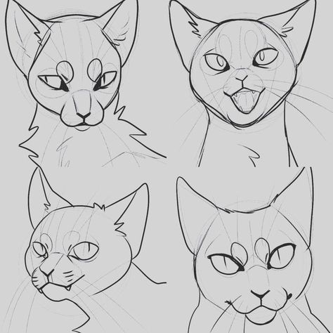 Cat Face Drawing, Cat Drawing Tutorial, Cat Anatomy, Warrior Cat Drawings, Posca Art, Cat Sketch, Warrior Cats Art, Cat Pose, 캐릭터 드로잉