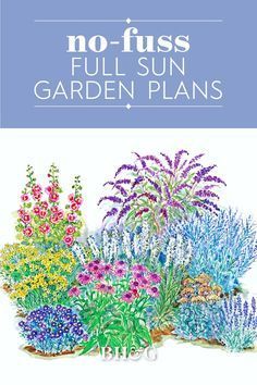 Full Sun Garden Layout, 3 Season Flower Garden Plans, All Season Perennial Garden Plan, Three Season Garden Plans, Full Sun Garden Bed Ideas, 3 Season Garden Plan Full Sun, Flower Bed Perennial Garden Design, Perennial Full Sun Garden Plans, Zone 4 Flower Garden