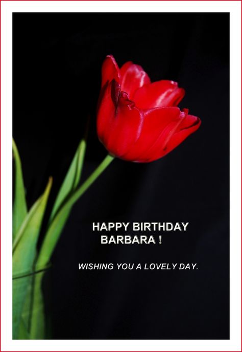 Birthday Wishes for Barbara. | Happy birthday to my Dear Fli… | Flickr Happy Birthday Barbara, Red Rose Bouquet, Beautiful Red Roses, Happy Birthday Greeting Card, Happy Birthday To My, Happy Birthday Messages, Happy Birthday Greetings, Happy Birthday Images, Birthday Messages