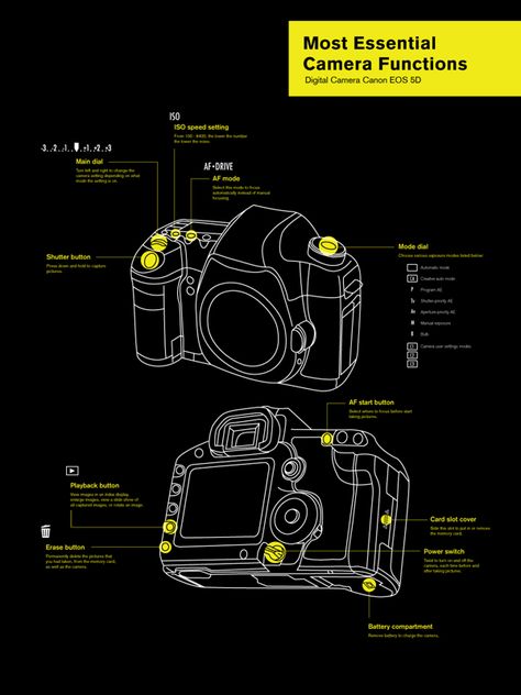 Most Essential Camera Functions by Suwanna Ruayrinsaowarot, via Behance Camera Infographic, Presentation Background, Camera Illustration, Data Dashboard, Best Digital Camera, Canon Digital Camera, Graphic Design Infographic, Presentation Backgrounds, Design Infographic