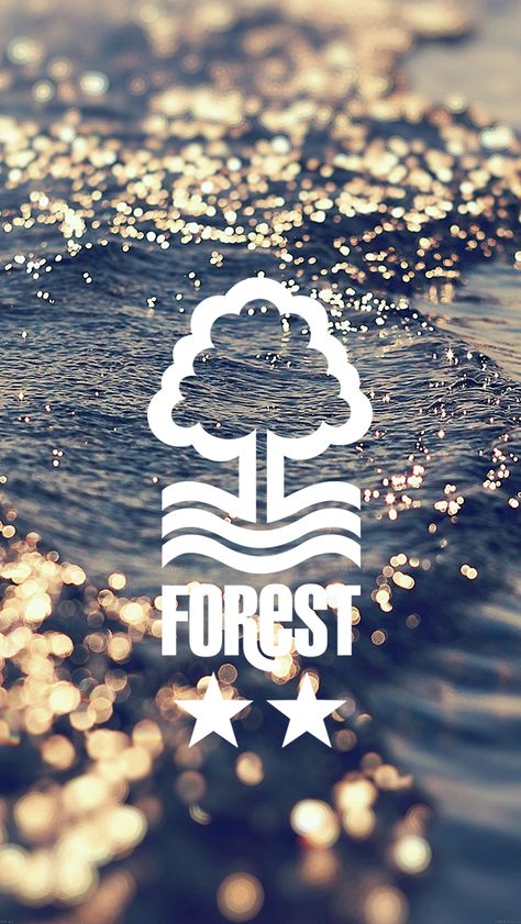 Nottingham Forest Tattoo, Nottingham Forest Wallpaper, Forest Wallpaper Iphone, Nottingham Forest Football Club, Nottingham Forest Fc, Forest Logo, Forest Tattoos, Nottingham Forest, Forest Wallpaper