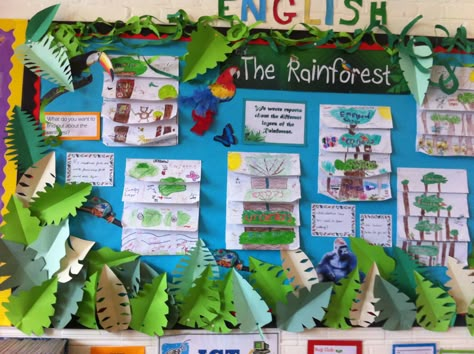 The Rainforest Display Y3 Rainforest Display Classroom, Rainforest Display Ks2, Rainforest Classroom Transformation, Rainforest Bulletin Board, Brazil Display, Rainforest Display, Rainforest Classroom, Rainforest Project, Rainforest Activities