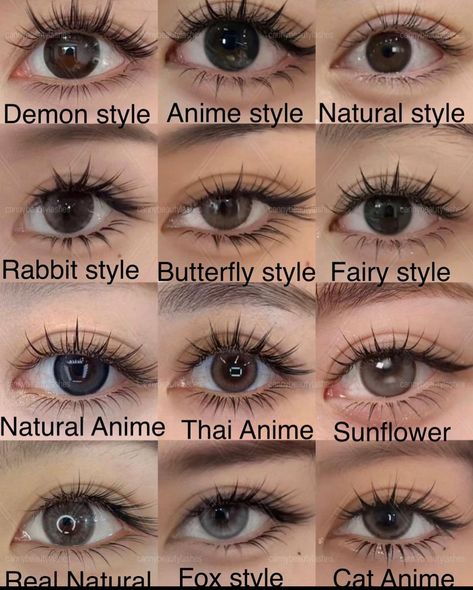 Cat Eye Shape Natural, Butterfly Lashes Extensions, Lashes For Different Eye Shapes, Monolid Lash Map, Manga Lashes Map, Gyaru Eyelashes, Hybrid Open Eye Lash Extensions, Beauty Pyramid, Siren Eyelashes