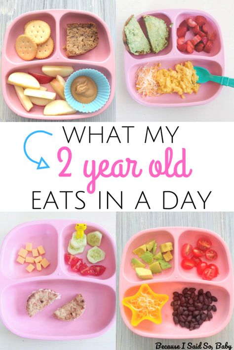 Toddler Meal Ideas and Feeding Schedule for a 2 Year Old | Need some easy toddler meal ideas? We've got you covered with simple ideas for breakfast, lunch, dinner, and snacks (morning and afternoon snacks). Learn the optimal toddler feeding schedule plus how much and when your toddler should eat throughout the day! #toddler #feeding #meal #ideas #breakfast #snacks #lunch #dinner #easy #healthy #routine #schedule Toddler Meal Ideas, Easy Toddler Meals, Toddler Dinner, Healthy Toddler Snacks, Picky Toddler, Toddler Breakfast, Apple And Peanut Butter, Baby & Toddler Food, Toddler Lunches