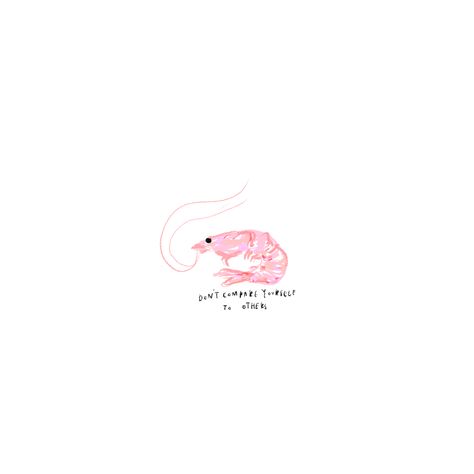 Shrimp Quotes, Shrimp Drawing, Positive Quote Poster, Compare Yourself To Others, Prawn Shrimp, Aesthetic Quotes, Comparing Yourself To Others, Positive Quote, Sketch Drawing