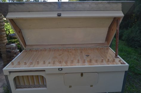 Flow Hive Plans, Langstroth Hive Plans, Langstroth Hive, Flow Hive, Top Bar Hive, Backyard Animals, Bee Hive Plans, Hot Water Tanks, Backyard Beekeeping