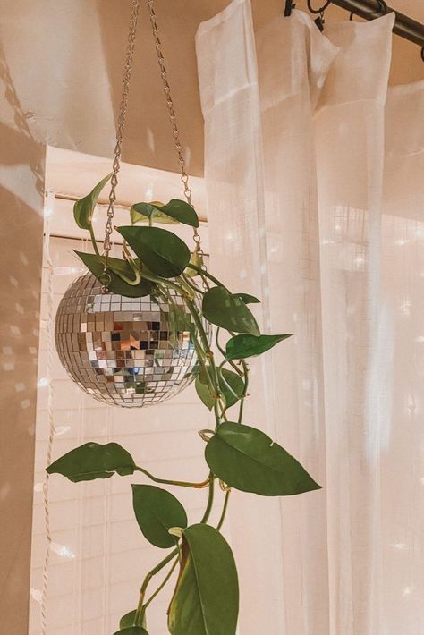 If you have a special person in your life that likes to collect plants, add some fun to their home with this hanging disco ball planter! Disco Planter, Disco Ball Planter, Disco Ball Decor, Macrame Hanger, Acrylic Stand, Self Watering, Disco Ball, Plant Lover, Lawn Garden