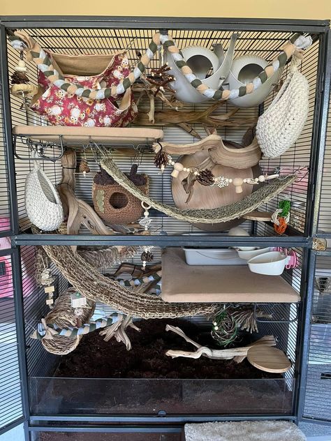 Pet Rat Cages Aesthetic, Critter Nation Cage Ideas Pet Rats, Rat Hammock Sewing Pattern, Rat Cage Inspiration, Naturalistic Rat Cage, Rats Cage Ideas, Degu Cage Ideas, Rat Cages Ideas, Rat Cage Ideas Aesthetic