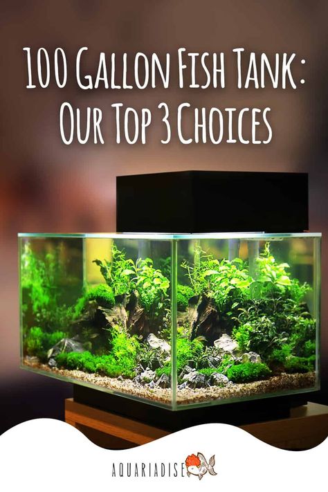 55 Gallon Tank Ideas, Freshwater 55 Gallon Fish Tank Ideas, 55 Gallon Fish Tank Ideas, 100 Gallon Aquarium, Best Aquarium Filter, Aquarium Hood, 55 Gallon Aquarium, 55 Gallon Tank, Aquarium Tips