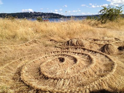 Braided grass in Magnuson Park, Seattle (The Grackle) Slow Art, Earth Art, Nature Crafts, Sculpture Installation, Land Art, Environmental Art, Public Art, Installation Art, Landscape Art