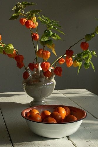 Ground Cherries, Chinese Lanterns Plant, Colorful Centerpieces, Fall Table Centerpieces, Flower Cottage, Fall Flower Arrangements, Japanese Lanterns, Chinese Lantern, Pumpkin Flower