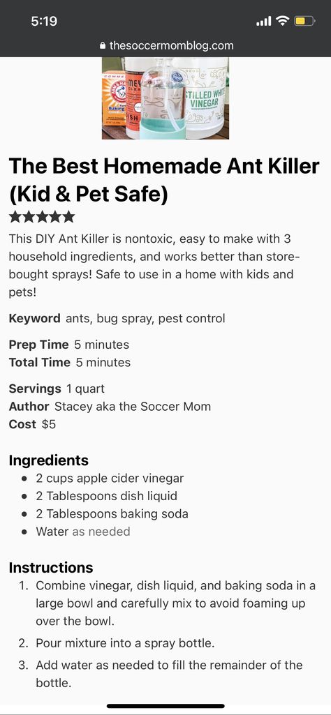 Pet Safe Ant Killer Indoor, Spiders Repellent Diy, Ant Killer Spray, Homemade Ant Killer, Repellent Diy, Spiders Repellent, Ant Repellent, Ant Killer, Diy Pest Control