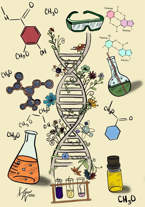 Elements of Chemistry Chemistry Wallpaper, Science Notebook Cover, Chemistry Drawing, Pharmacy Art, Chemistry Posters, Chemistry Projects, Chemistry Art, Project Cover Page, Biology Projects