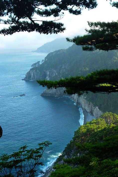 Japanese Seaside, Pacific Ocean Aesthetic, Japanese Coastal Town, Japan Ocean, Japan Coast, Japan Beaches, Japanese Beach, Pandora Mountains Japan, Seafood Cuisine