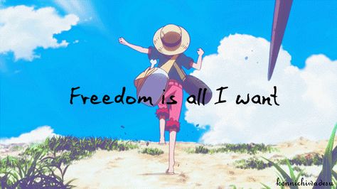 Freedom is all I want Quotes One Piece, Sanji Chopper, Hat Quotes, One Piece Quotes, Nami Usopp, Luffy Zoro Nami, One Piece Collection, Strawhat Pirates, One Piece Gif