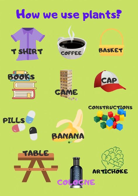 HOW WE USE PLANTS interactive worksheet Uses Of Plants Worksheet, Uses Of Plants, Plants Kindergarten, Plants Worksheets, Worksheet For Kindergarten, Caps Game, Plant Activities, Plant Games, Food Groups