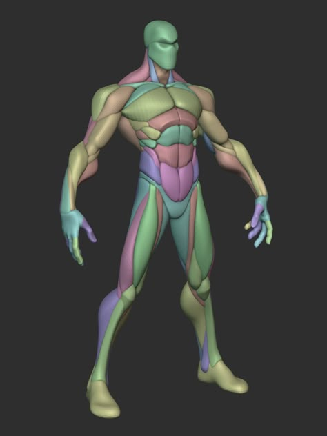 ArtStation - Stylized Warrior Anatomy Blockout V2, George Zaky Female Hulk, Simplified Anatomy, Stylized Anatomy, Anatomy Character Design, Arm Anatomy, Blender Character Modeling, Leg Anatomy, Anatomy Male, 3d Anatomy