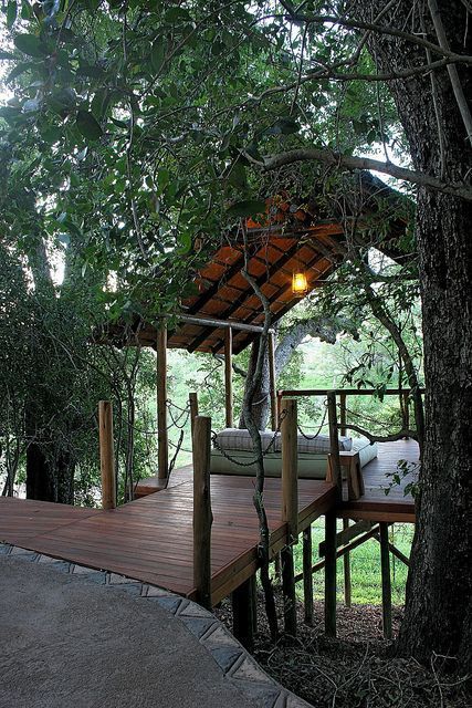 Kruger National Park South Africa, Tree House Designs, Safari Lodge, Have Inspiration, Kruger National Park, Pergola Designs, House In The Woods, Busan, Backyard Patio