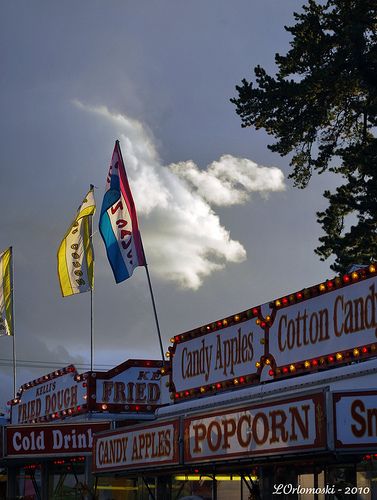 The Fryeburg Fair, Maine's best Blue Ribbon Fair Fryeburg Fair Maine, Maine Lakes, Fryeburg Maine, Maine Travel, Mystery Novels, Insta Inspo, Autumn Activities, Blue Ribbon, Happy Place