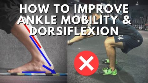 3 Highly Effective Exercises for Ankle Mobility & Dorsiflexion Jump Cut, Ankle Mobility, Foot Exercises, Pelvic Tilt, Lower Limb, Effective Exercises, Body Movement, Split Squat, The Shins