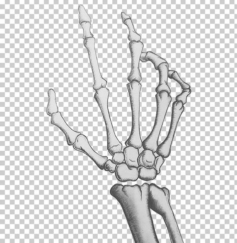 Bone Drawing On Hand, Skeleton Hand Drawing, Drawing On Hand, Skeleton Hands Drawing, Bone Drawing, Skeleton Arm, Bone Hand, Hand Png, Arm Drawing