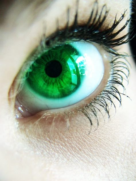 emerald Cat Eye Contacts, Dark Blue Eyes, Eyes Photography, Eye Contact Lenses, Emerald Eyes, Halloween Contacts, Crazy Eyes, Eye Photography, Aesthetic Eyes