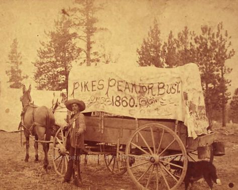 FRONTIERSMAN/PIONEER COVERED WAGON, PIKES PEAK, 1860 Work Wagon, American Pioneers, Old West Photos, Western Photo, Chuck Wagon, Covered Wagon, Classical Conversations, Pikes Peak, American West