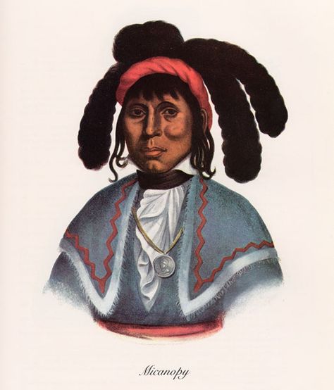 Seminole Tribe, Seminole Wars, Seminole Indians, Black Indians, Indian Tribes, Indian Prints, African Diaspora, Native American History, Native American Indians