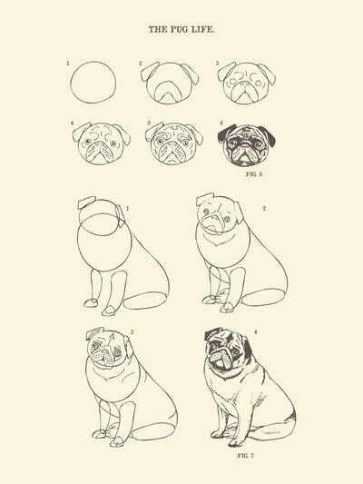 Pug Pug Art Print, Pug Dogs, Pug Art, 강아지 그림, The Pug, Arte Inspo, Cute Pugs, Pug Love, Dog Drawing