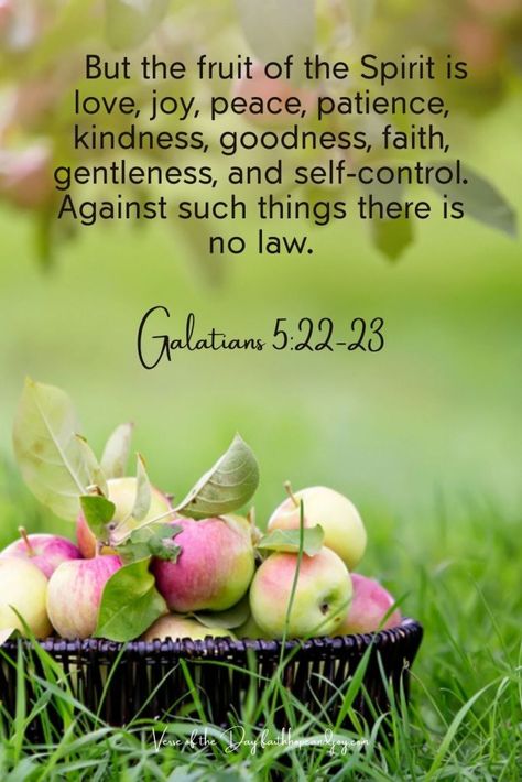 Galatians 5:22-23 What are the fruit of the spirit? How can we display these attributes in our lives? Galatians 5 22 23 Kjv, Fruit Of The Spirit Galatians 5:22-23, Fruits Of The Spirit Bible Verse, Galatians 5 22 23 Wallpaper, Fruit Of Spirit, Bible Message, Gifts Of The Holy Spirit, The Fruits Of The Spirit, Galatians 5 22 23