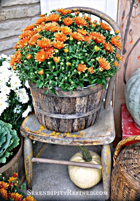 Colour Emotion, Harvest Porches, Outside Fall Decor, Bushel Baskets, Primitive Fall, Fall Country, Fall Deco, Autumn Decorating, Fall Front Porch