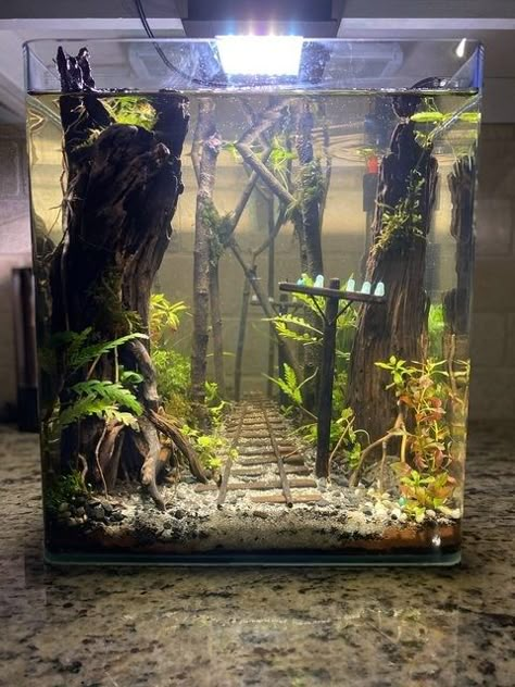 Artificial Grass Design, Biotope Aquarium, Fish Tank Themes, Custom Aquarium, Grass Design, Fish Tank Terrarium, Cool Fish Tanks, Aquascape Design, Fish Tank Design