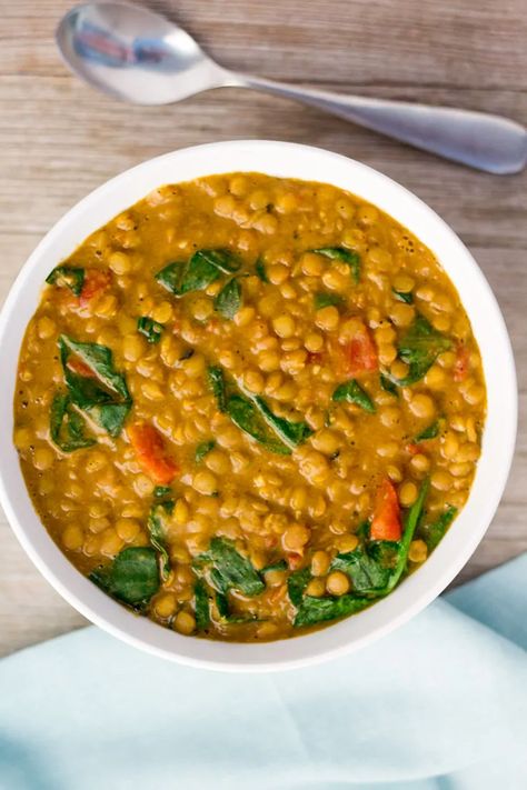 Bean Dishes, Lentil Dahl, Lentil Dal, Vegan Instant Pot Recipes, Quick And Easy Dinner, Lentil Curry, Instapot Recipes, Instant Pot Pressure Cooker, Food List