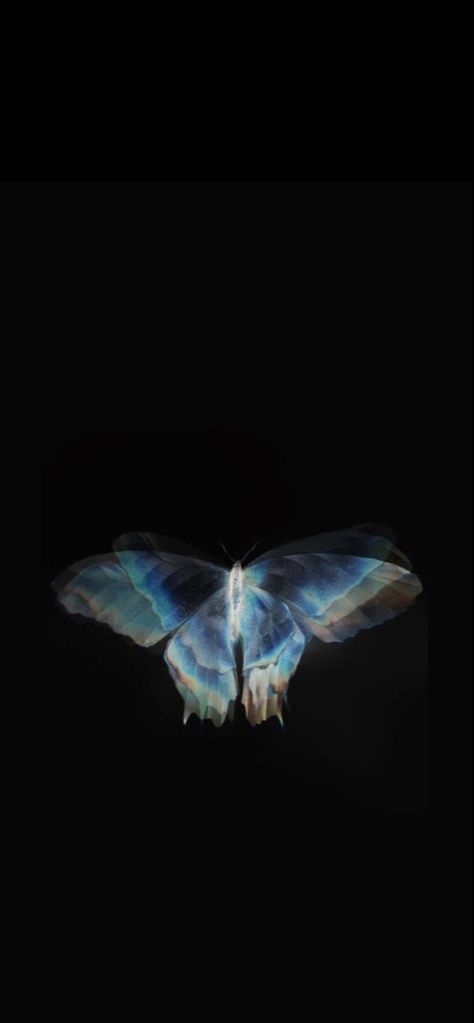 Dark Blue Lockscreen Iphone, Wallpaper Iphone Black And Blue, Wallpaper Iphone Blue Dark, Deep Blue Wallpaper Iphone, Dark Blue Butterfly Aesthetic, Morpho Wallpaper, Morpho Butterfly Aesthetic, Butterfly Dark Wallpaper, Dark Blue Butterfly Wallpaper